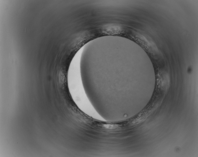 X0000094060371200711161530