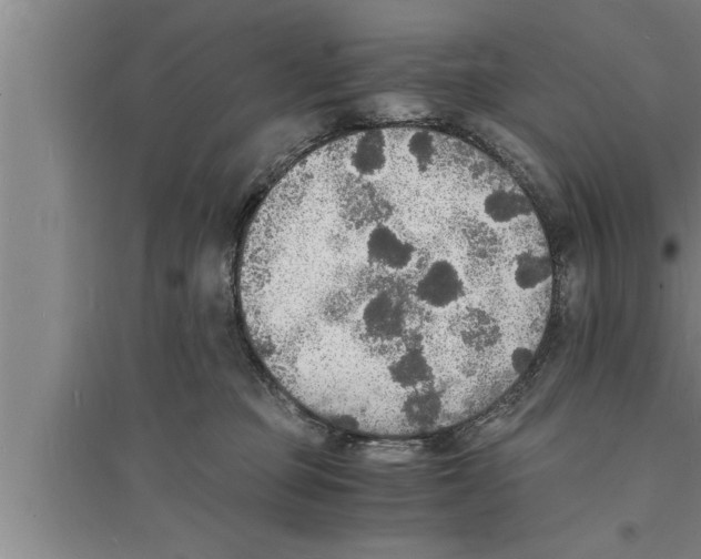 X0000094060373200711161530