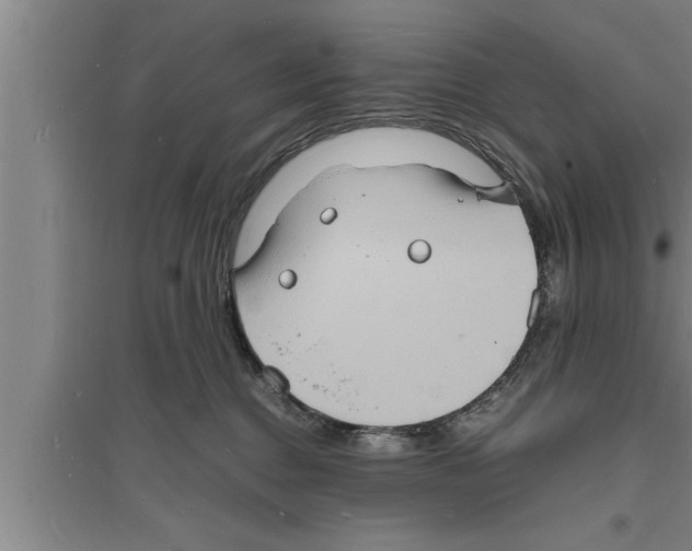 X0000094060376200711161530