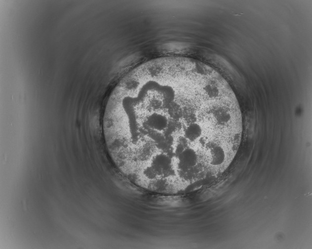 X0000094060377200711161530