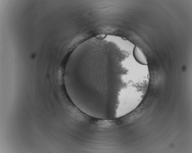 X0000094060378200711161530