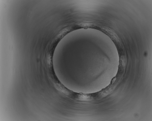 X0000094060380200711161530