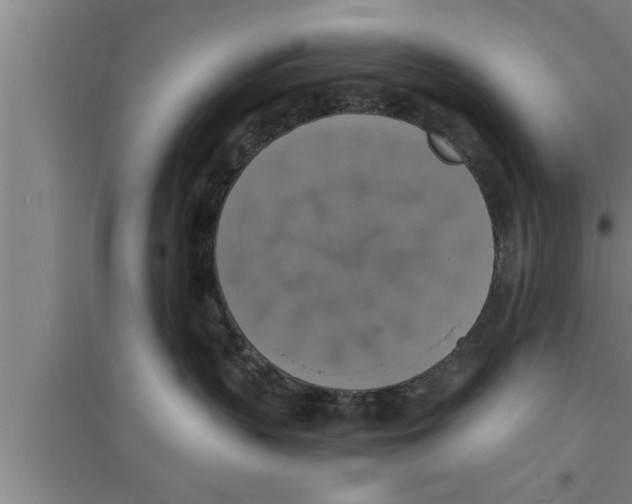 X0000094060383200711161530