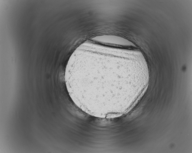 X0000094060384200711161530