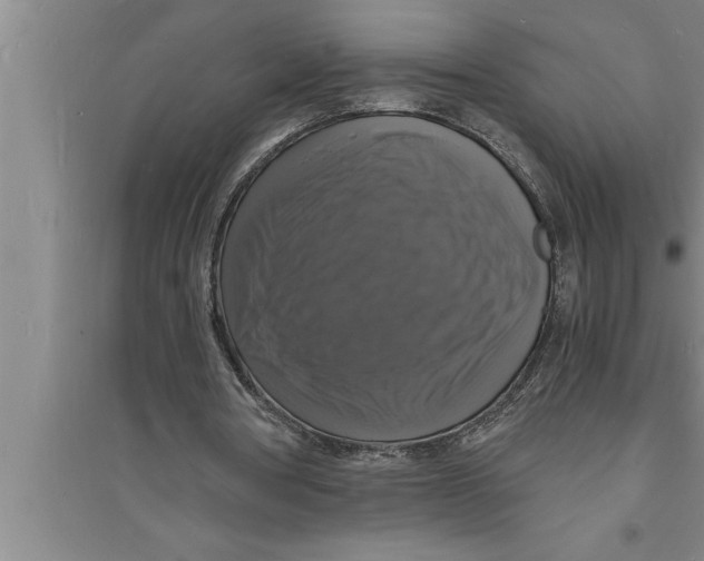 X0000094060386200711161529