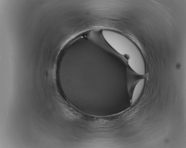 X0000094060387200711161529