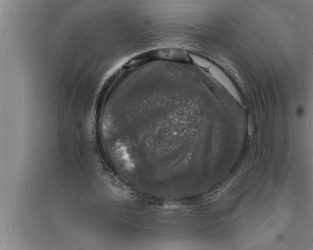 X0000094060388200711161529