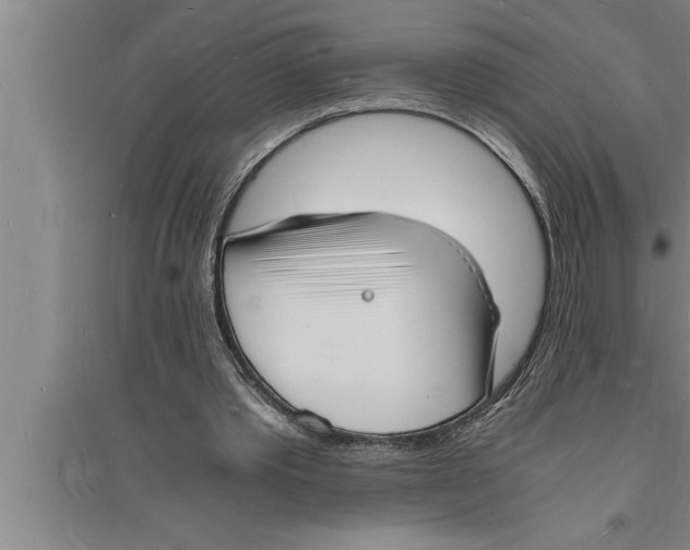 X0000094060389200711161529