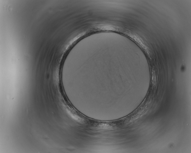 X0000094060390200711161529