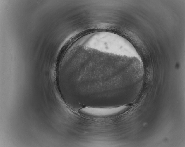 X0000094060392200711161529