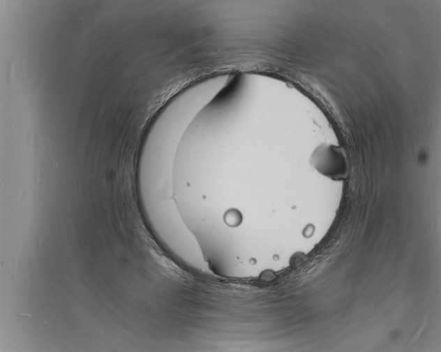 X0000094060393200711161529