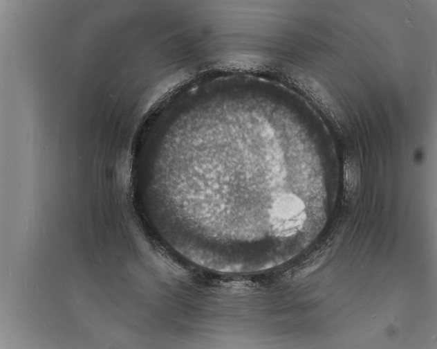 X0000094060396200711161529