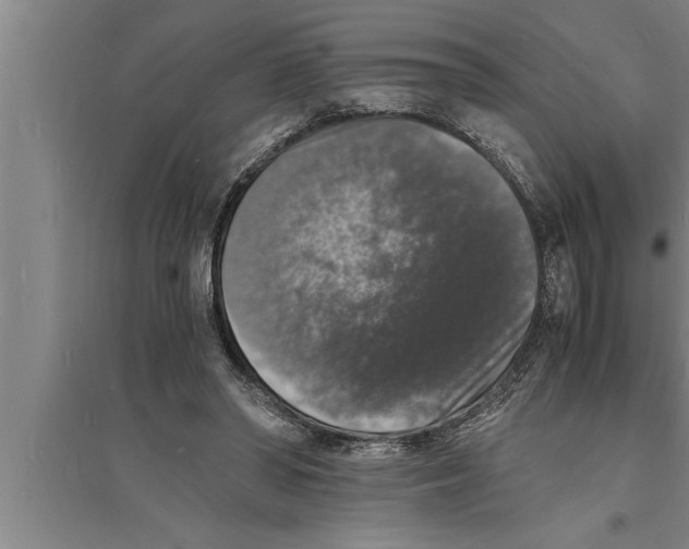 X0000094060398200711161529