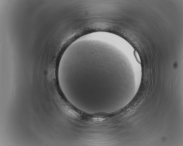 X0000094060399200711161529