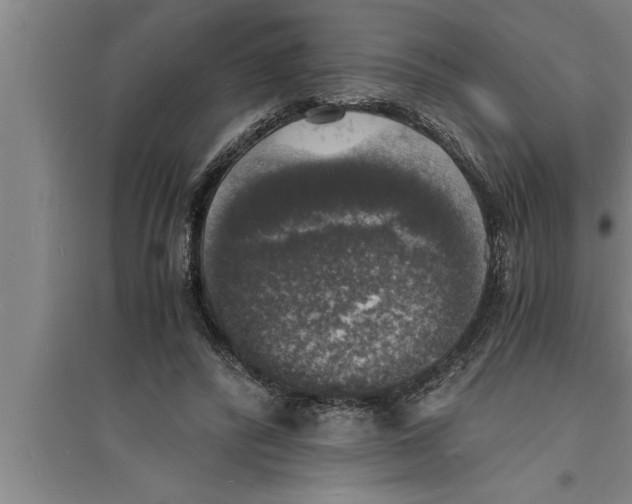 X0000094060400200711161529