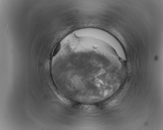 X0000094060401200711161529