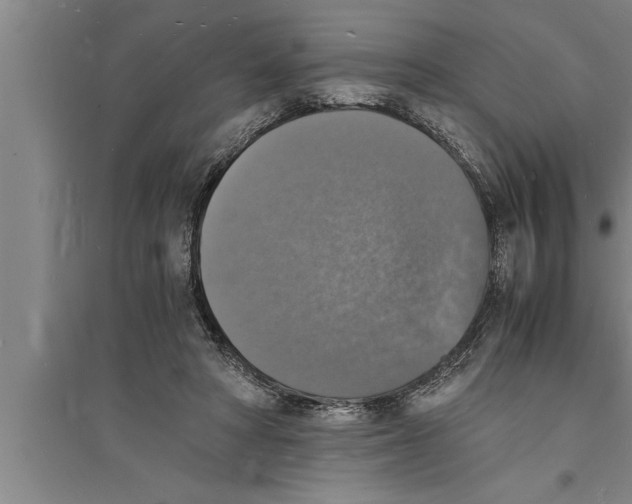 X0000094060402200711161529