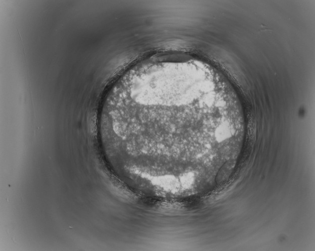 X0000094060403200711161529