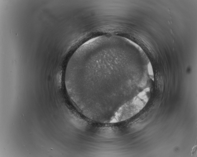 X0000094060404200711161529