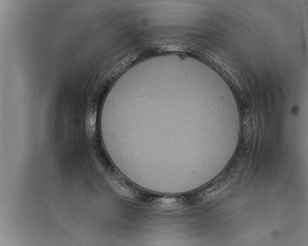 X0000094060406200711161529