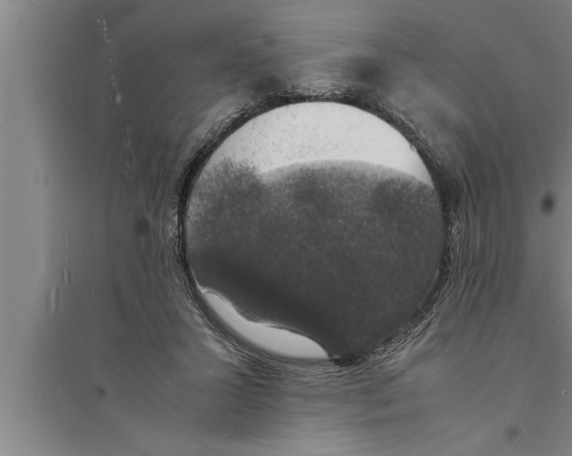 X0000094060407200711161529