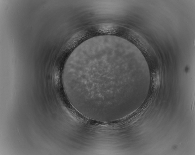 X0000094060408200711161529