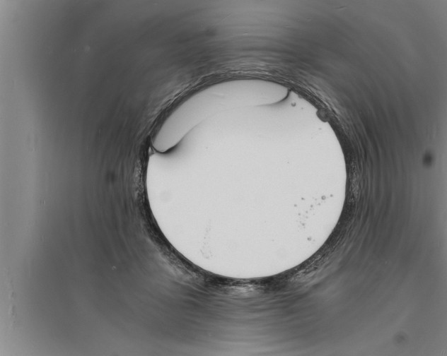 X0000094060411200711161529