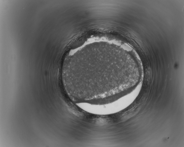 X0000094060412200711161529