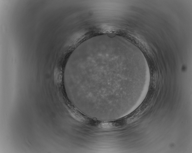 X0000094060413200711161529