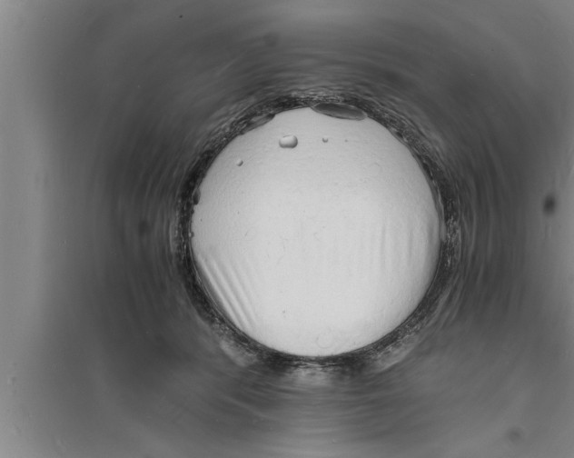 X0000094060416200711161529