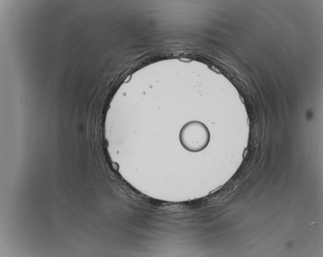 X0000094060417200711161529