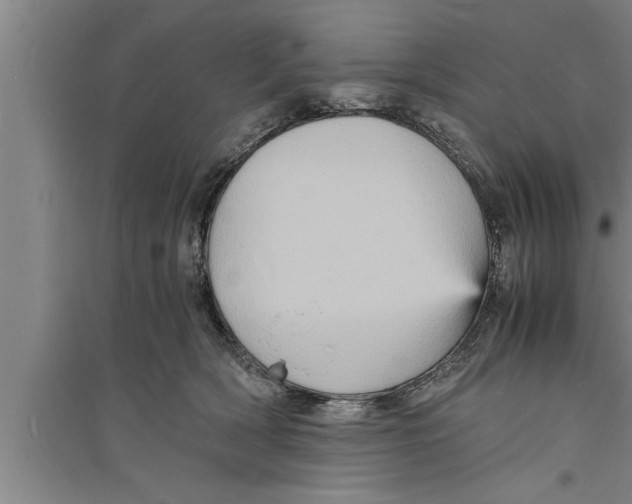 X0000094060418200711161529