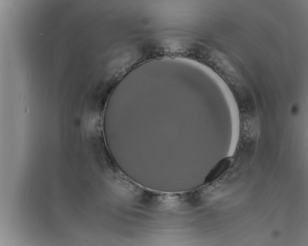 X0000094060419200711161529