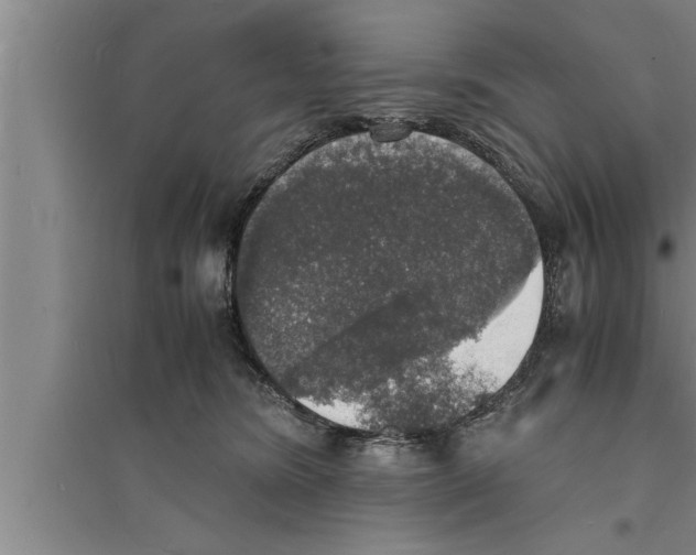 X0000094060420200711161529