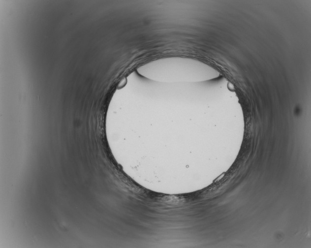 X0000094060421200711161529