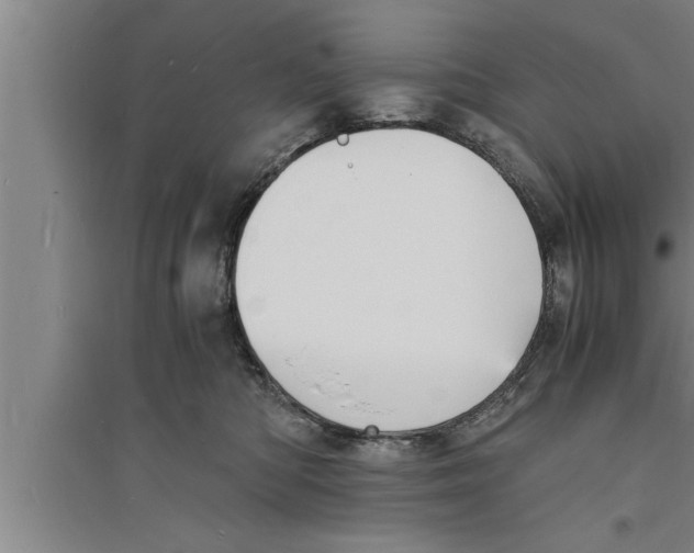 X0000094060422200711161529