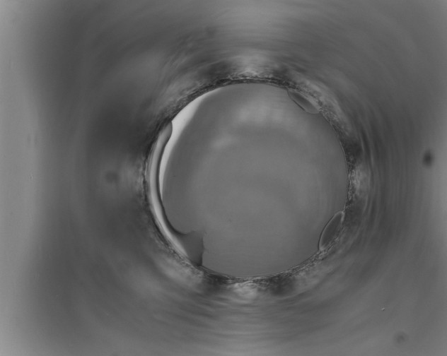 X0000094060423200711161529