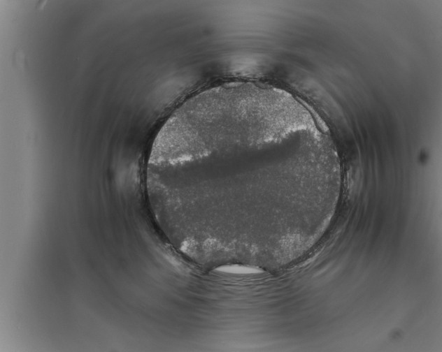 X0000094060424200711161529