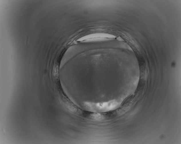 X0000094060425200711161529