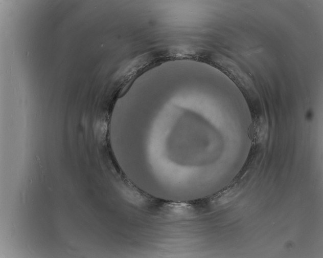 X0000094060427200711161529