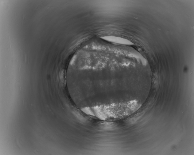 X0000094060428200711161529