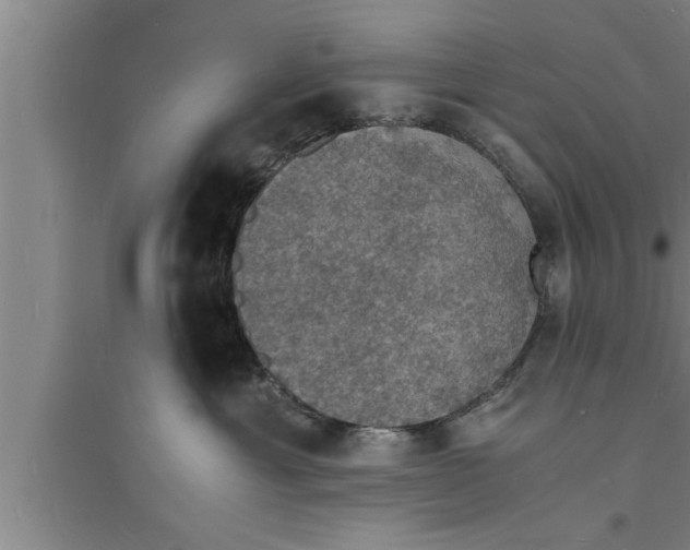 X0000094060429200711161529