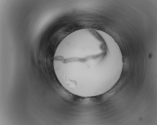 X0000094060430200711161529