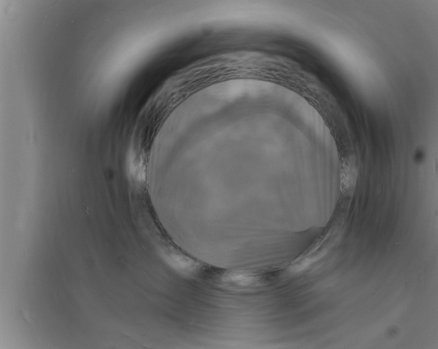 X0000094060431200711161529