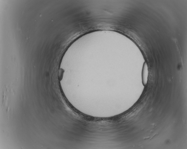 X0000094060433200711161528