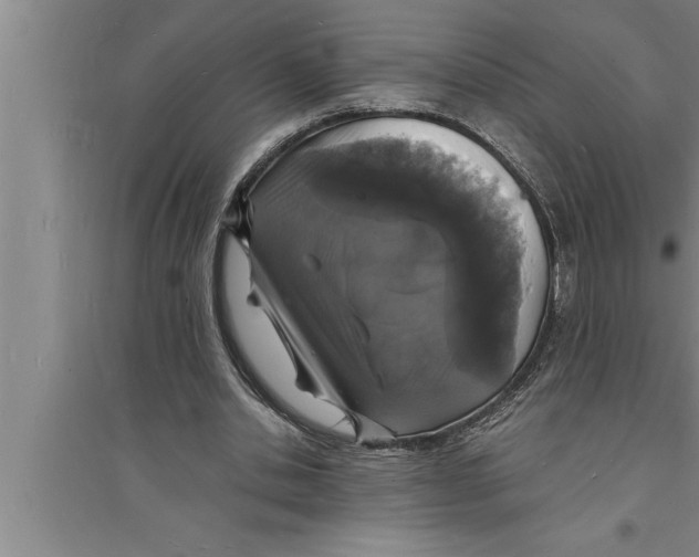 X0000094060438200711161528