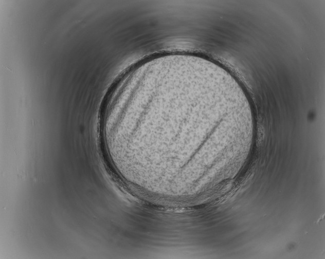 X0000094060439200711161528