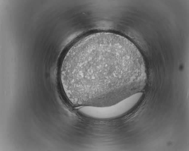 X0000094060440200711161528