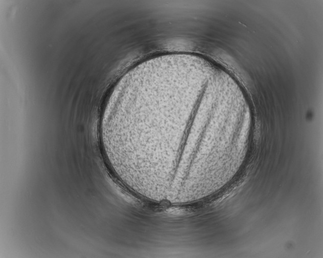 X0000094060441200711161528