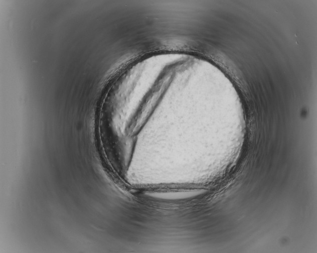 X0000094060442200711161528